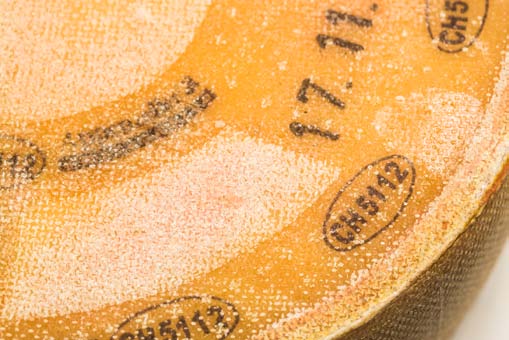 Product appearance 1