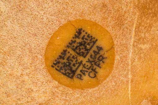 Product appearance 4